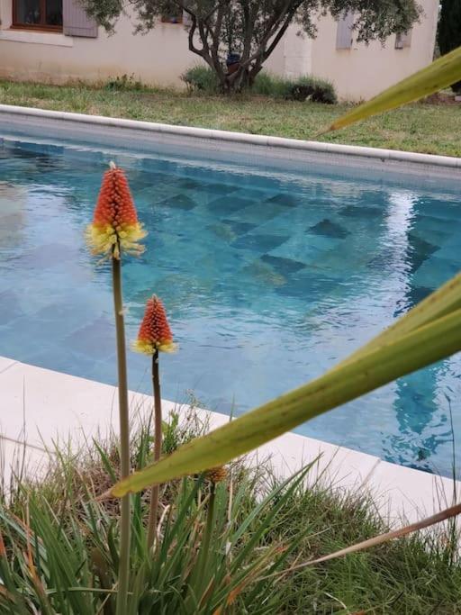 Reve En Luberon Villa Lauris Buitenkant foto