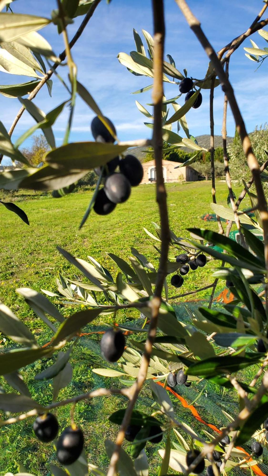 Reve En Luberon Villa Lauris Buitenkant foto